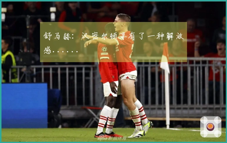 舒马赫：汉密尔顿享有了一种解放感......