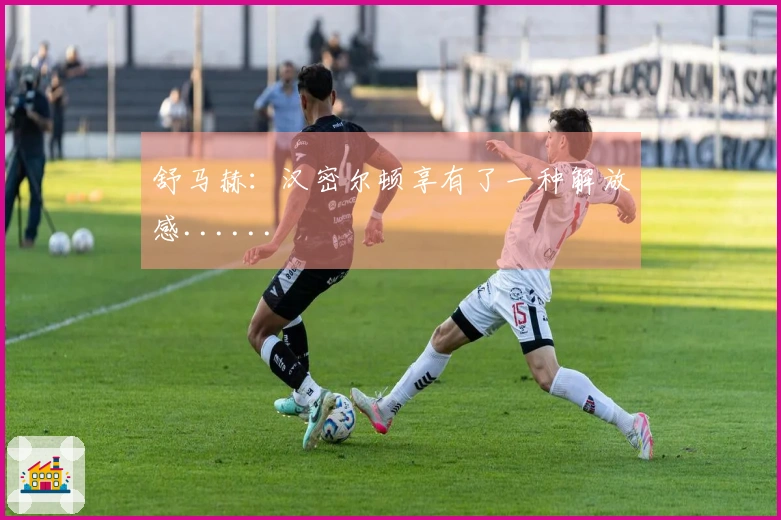 舒马赫：汉密尔顿享有了一种解放感......